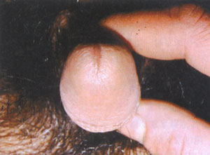 �Ϻ���ҽ����ҽԺ